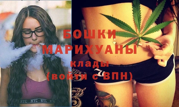 стаф Арсеньев