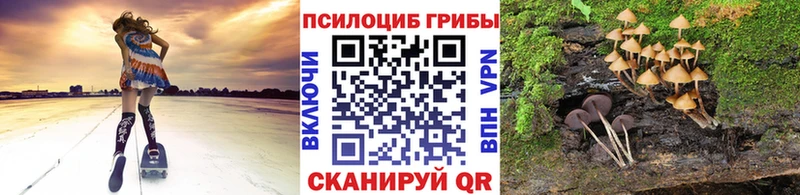 Псилоцибиновые грибы GOLDEN TEACHER МЕГА как войти Фурманов купить наркоту